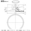 DAIKO 調色シーリング(６～８畳) DCL-40986