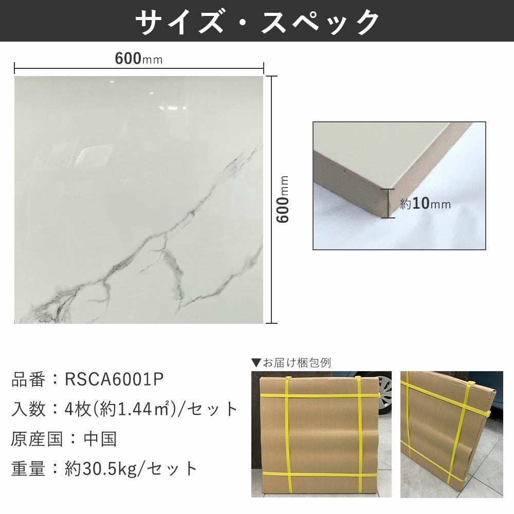 マヤリカ セラミックタイル 600mm角 4枚入 RSCA6001P_6