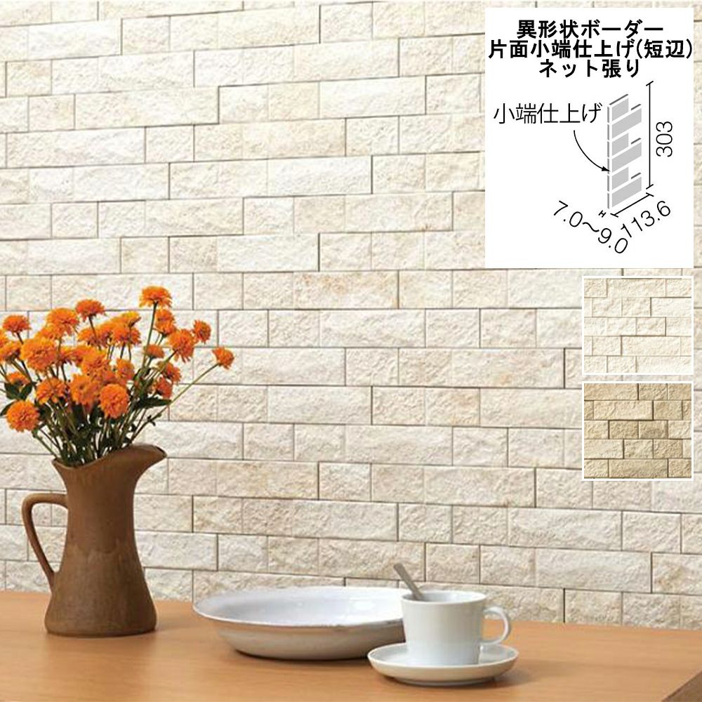 LIXIL ECP-R エコカラットプラス ヴィスト NX 異形状ボーダーネット